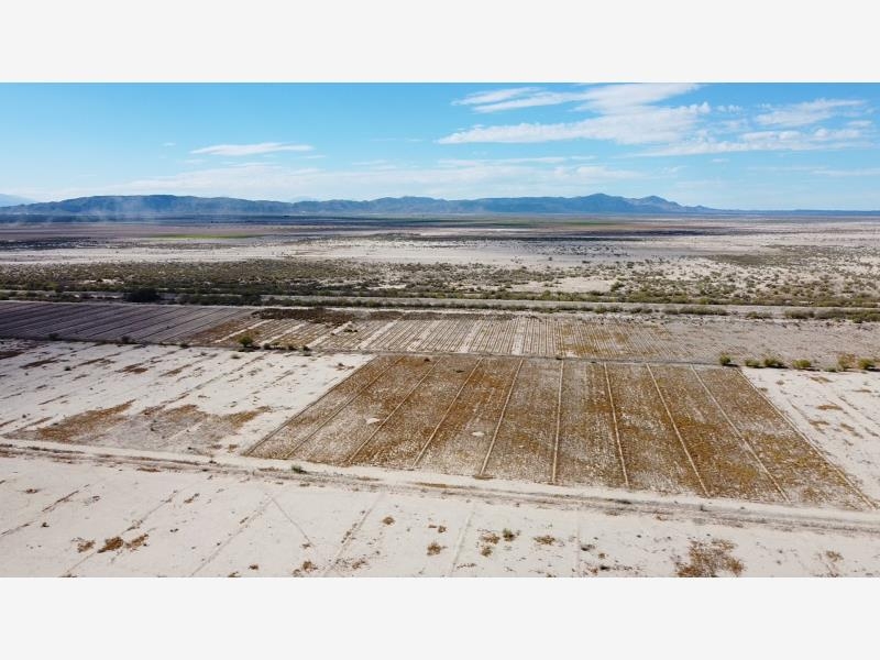 Foto 0 de Terreno en venta en San Francisco de Horizonte (Horizonte), Tlahualilo, Durango | ID mx20-jq6582 | Nocnok