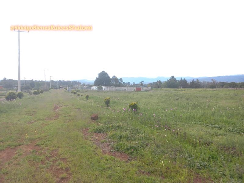 Foto 0 de Terreno en venta en San Pablo Ojo de Agua, Huasca de Ocampo, Hidalgo | ID mx22-nr9814 | Nocnok