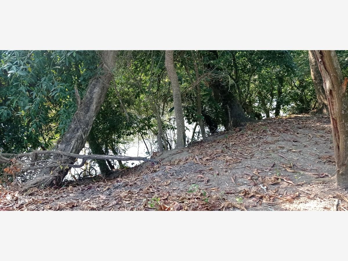 Foto 0 de Finca-Rancho en venta en Salsipuedes, Medellín de Bravo, Veracruz de Ignacio de la Llave | ID mx23-oc4161 | Nocnok