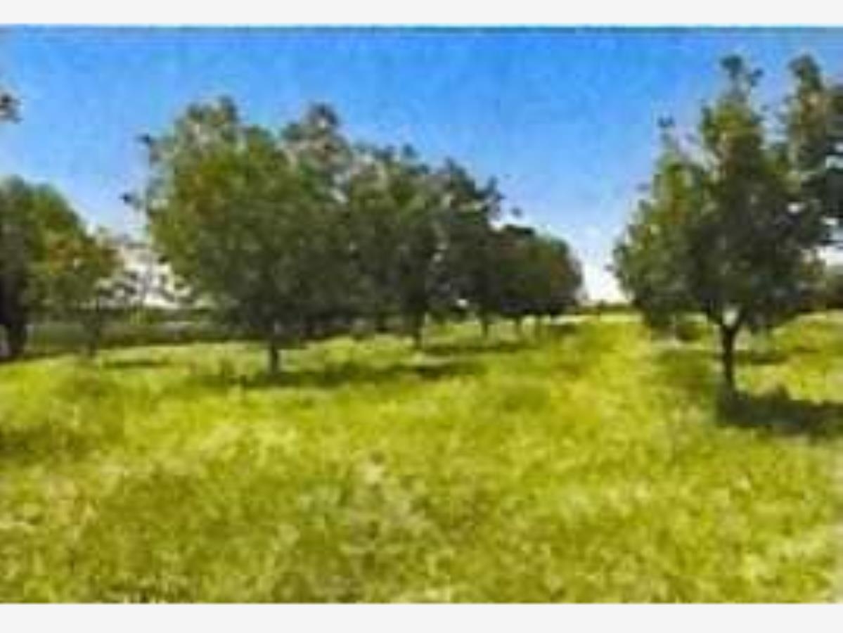 Foto 0 de Finca-Rancho en venta en Paso Nacional, Nazas, Durango | ID mx23-om6018 | Nocnok