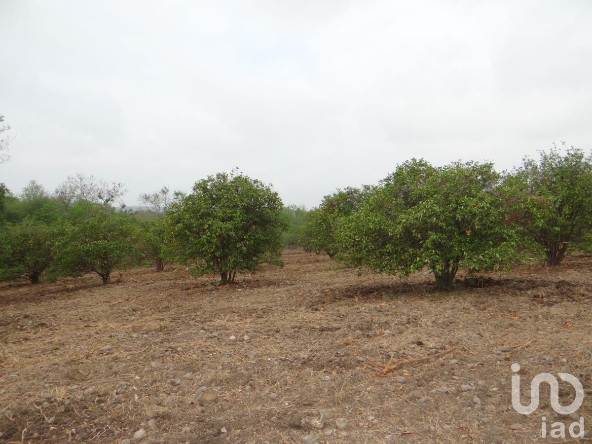 Foto 0 de Terreno en venta en Los Sabinos (Sabinos de Abajo), Allende, Nuevo León | ID mx23-pt3025 | Nocnok