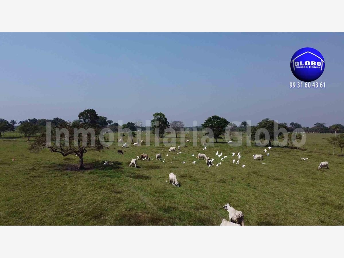 Foto 0 de Finca-Rancho en venta en El Limoncito, Reforma, Chiapas | ID mx24-px8776 | Nocnok