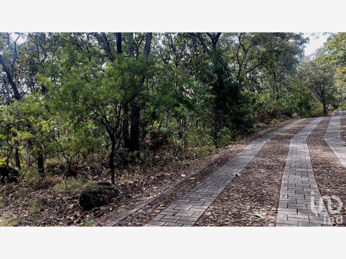 Foto 0 de Terreno en venta en La Estanzuela, Teuchitlán, Jalisco | ID mx24-pz6911 | Nocnok