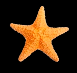 https://s3.amazonaws.com/nocnok-img/al-250210224252-1ebf0f2f0db6467da92a0b6015b7c863l.webp