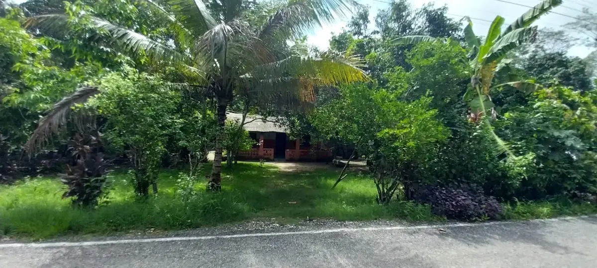 Foto 0 de Terreno en venta en Pechucalco 2da. Sección (Las Cruces), Cunduacán, Tabasco | ID mx24-ny9377 | Nocnok