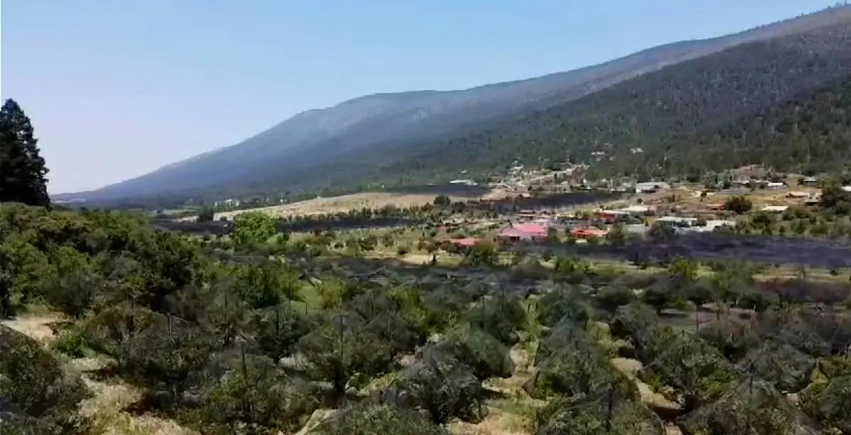 Foto 0 de Terreno en venta en La Ciruela, Arteaga, Coahuila de Zaragoza | ID mx24-qp2458 | Nocnok