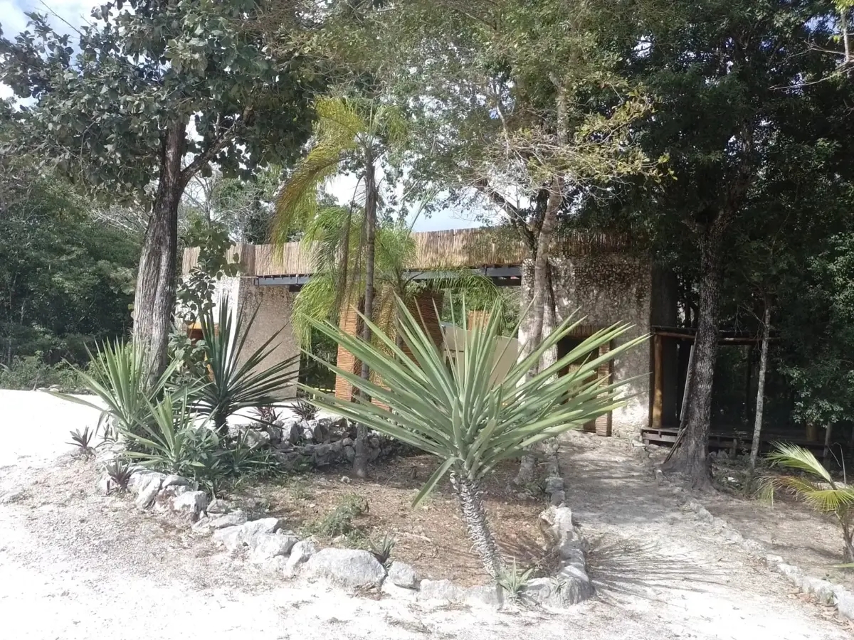 Foto 0 de Terreno en venta en Las Palmas, Tulum, Quintana Roo | ID mx24-cf9229 | Nocnok