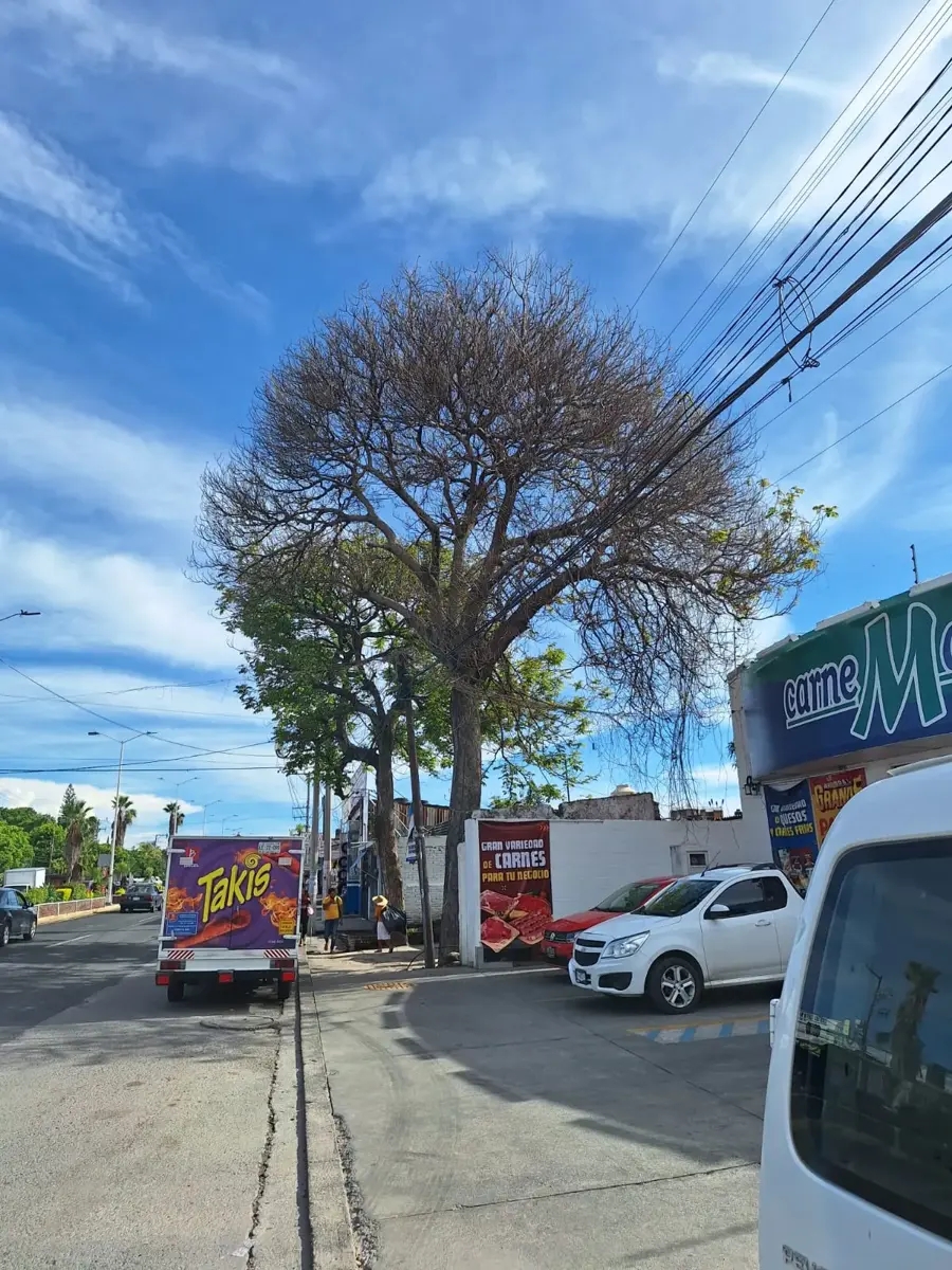 Foto 0 de Terreno en renta en Acatlipa Centro, Temixco, Morelos | ID mx24-ix7206 | Nocnok