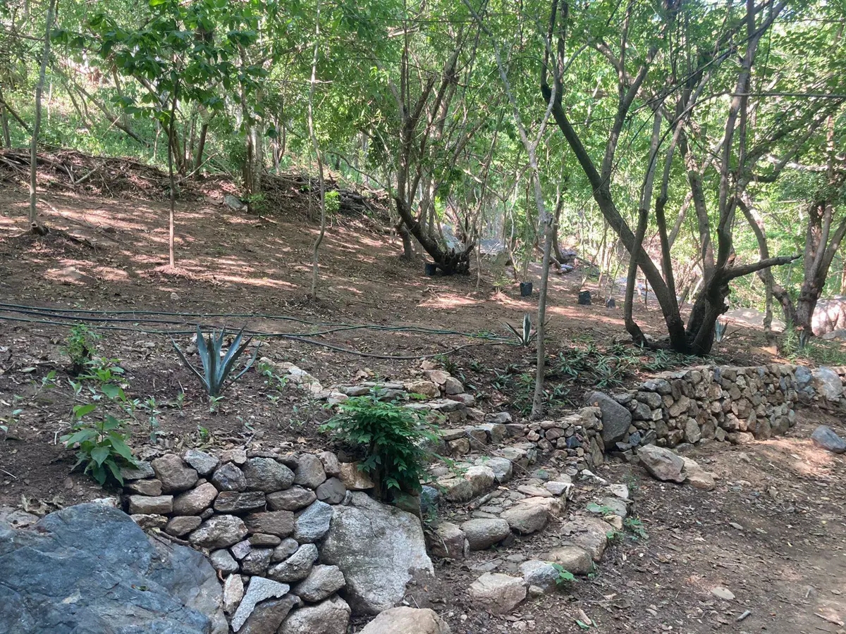Foto 0 de Terreno en venta en Mazunte, Santa María Tonameca, Oaxaca | ID mx24-xd9258 | Nocnok