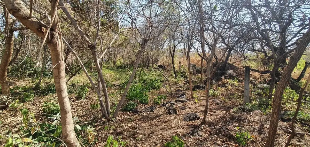 Foto 0 de Terreno en venta en Villa Santiago, Cuernavaca, Morelos | ID mx25-wi10003 | Nocnok