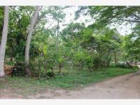 Terreno en renta en La Victoria, Tuxpan, Veracruz de Ignacio de la Llave