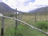 Terreno en venta en Rancho Nuevo, Arteaga, Coahuila de Zaragoza