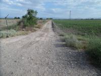 Terreno en venta en El Consuelo, Matamoros, Coahuila de Zaragoza