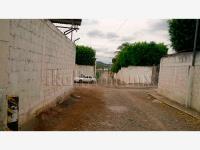 Terreno en renta en La Victoria Kilómetro 47, Papantla, Veracruz de Ignacio de la Llave