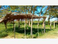 Terreno en venta en Tamiahua, Tamiahua, Veracruz de Ignacio de la Llave
