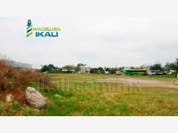 Terreno en renta en Plan de Ayala, Tihuatlán, Veracruz de Ignacio de la Llave