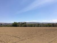 Terreno Comercial en Venta en El Calvario, Ixtacuixtla de Mariano Matamoros