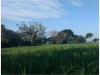 Terreno en venta en Nogueras, Comala, Colima