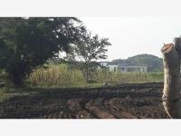 Terreno en venta en Cuauhtemoc, Cuauhtémoc, Colima