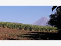 Terreno en venta en Cuauhtemoc, Cuauhtémoc, Colima