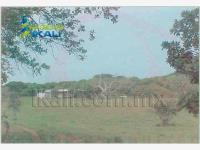 Terreno en venta en Las Flores, Tampico Alto, Veracruz de Ignacio de la Llave