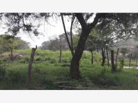 Terreno en venta en Comala, Comala, Colima