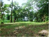 Terreno en venta en El Chivato (Providencia), Villa de Álvarez, Colima Terreno en venta en El Chivato (Providencia), Villa de Álvarez, Colima