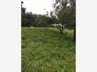 Terreno en venta en El Carrizal, Villa de Álvarez, Colima Terreno en venta en El Carrizal, Villa de Álvarez, Colima