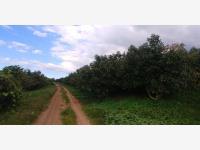 Terreno en venta en Magaña, Guadalajara, Jalisco Terreno en venta en Magaña, Guadalajara, Jalisco