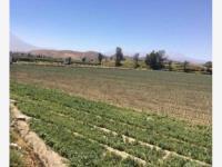 Terreno en venta en Tecoman Centro, Tecomán, Colima