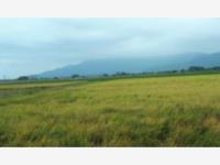 Terreno en venta en Cuauhtemoc, Cuauhtémoc, Colima Terreno en venta en Cuauhtemoc, Cuauhtémoc, Colima