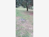 Finca-Rancho en venta en Las Higueras, Cuauhtémoc, Colima