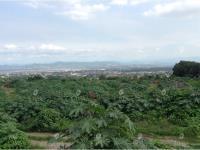 Terreno en venta en Ocotepec, Cuernavaca, Morelos Terreno en venta en Ocotepec, Cuernavaca, Morelos