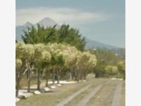 Terreno en venta en La Capacha, Colima, Colima