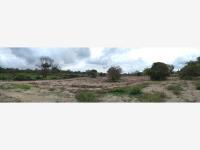 Terreno en venta en Primavera, Poza Rica de Hidalgo, Veracruz de Ignacio de la Llave