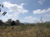 Terreno en venta en San Miguel, Berriozábal, Chiapas