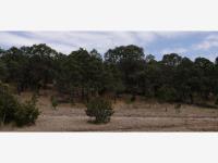 Terreno en venta en Artesillas, Arteaga, Coahuila de Zaragoza Terreno en venta en Artesillas, Arteaga, Coahuila de Zaragoza