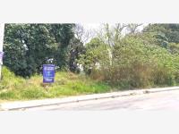 Terreno en venta en Peñuela, Amatlán de los Reyes, Veracruz de Ignacio de la Llave