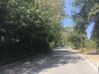 Terreno en venta en Olinala, San Pedro Garza García, Nuevo León Terreno en venta en Olinala, San Pedro Garza García, Nuevo León