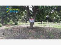 Terreno en venta en Ricardo Flores Magon, Tihuatlán, Veracruz de Ignacio de la Llave