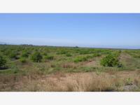 Terreno en venta en Cerro de Ortega, Tecomán, Colima Terreno en venta en Cerro de Ortega, Tecomán, Colima