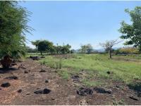 Terreno en venta en Benito Juarez, Emiliano Zapata, Morelos