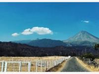 Terreno en venta en La Yerbabuena, Comala, Colima Terreno en venta en La Yerbabuena, Comala, Colima