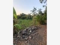 Terreno en venta en Actopan Centro, Actopan, Veracruz de Ignacio de la Llave