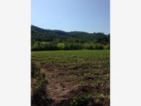 Finca-Rancho en venta en Moyotepec, Ayala, Morelos