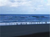 Terreno en venta en Playa Novillero, Tecuala, Nayarit