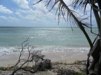 Terreno en venta en Mahahual, Othón P. Blanco, Quintana Roo