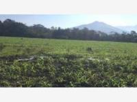 Terreno en venta en Coquimatlan, Coquimatlán, Colima