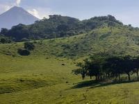 Terreno en venta en Cofradia de Suchitlan, Comala, Colima Terreno en venta en Cofradia de Suchitlan, Comala, Colima
