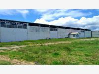 Bodega en renta en San Jose Xicohtencatl, Huamantla, Tlaxcala